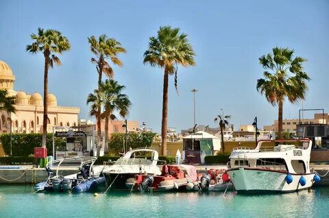 best hurghada tours online